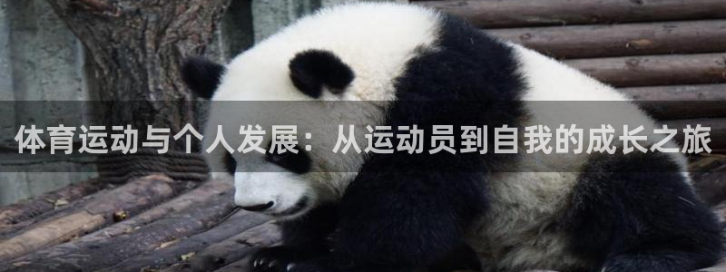 xc体育app官方网站