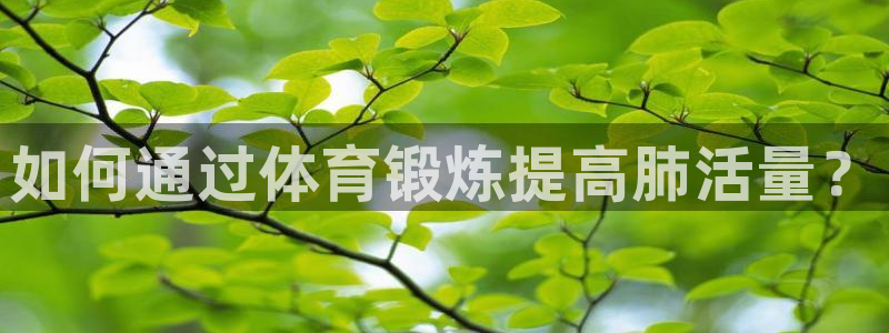 xc体育