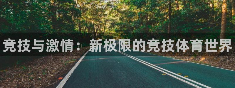 xc体育