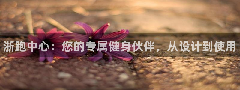 xc体育
