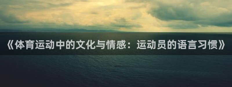 xc体育app官方网站