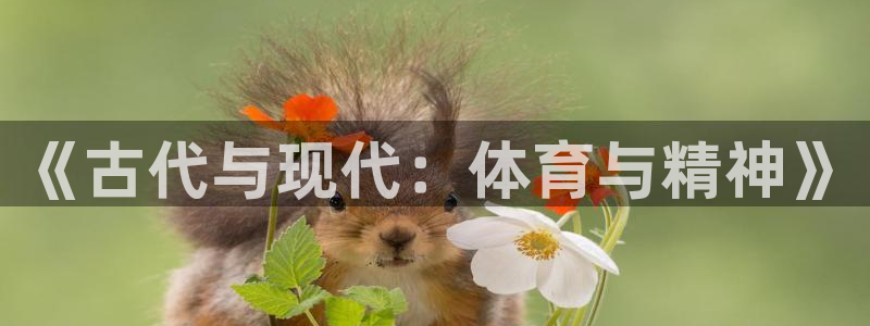 xc体育app官方网站