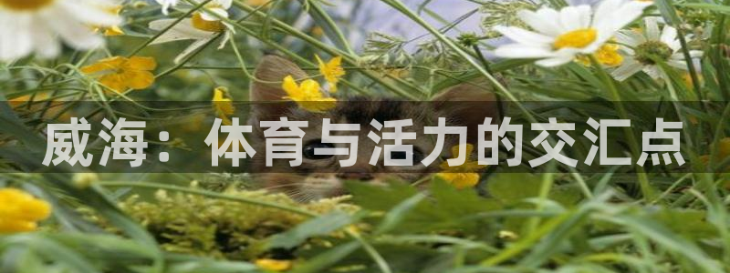 xc体育app官方网站