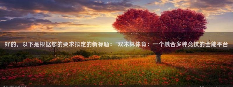 xc体育app官方网站