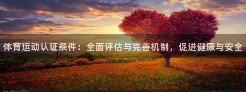 xc体育