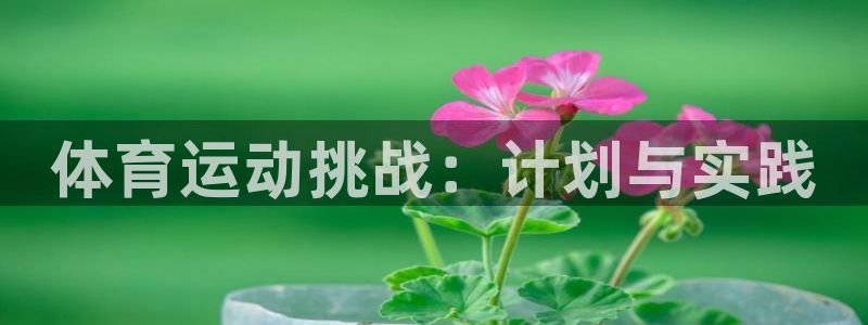xc体育app官方网站