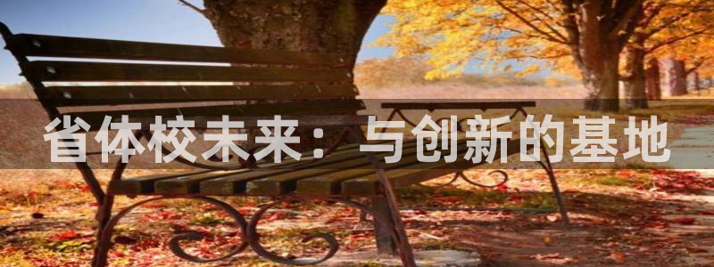 xc体育