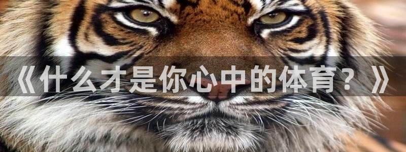 xc体育
