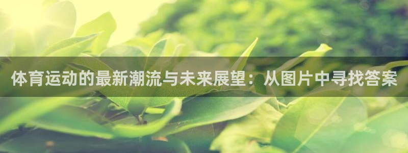 xc体育app官方网站