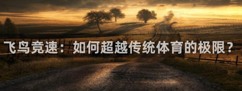 xc体育app官方网站