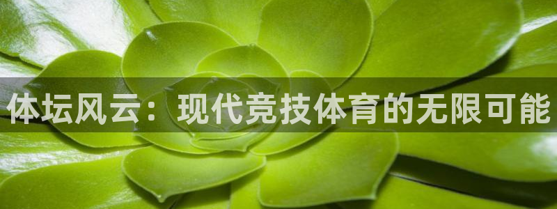 xc体育