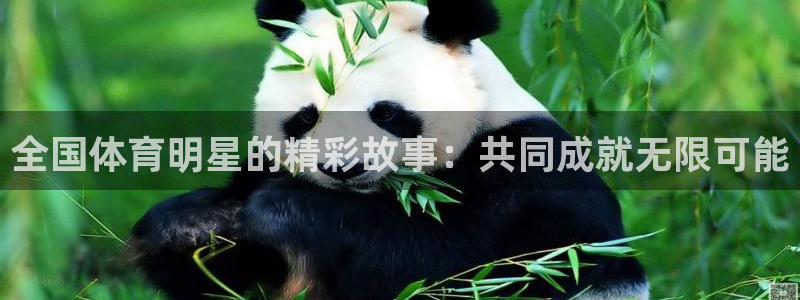 xc体育app官方网站
