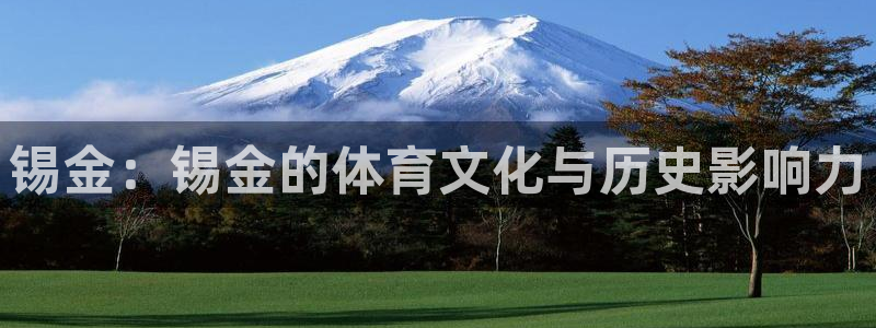 xc体育