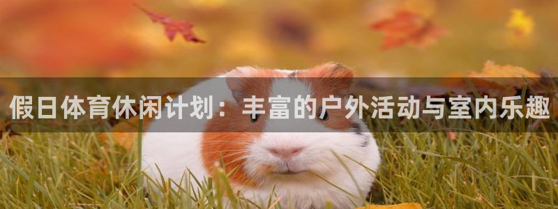 xc体育