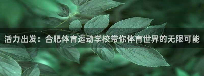 xc体育