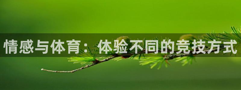 xc体育