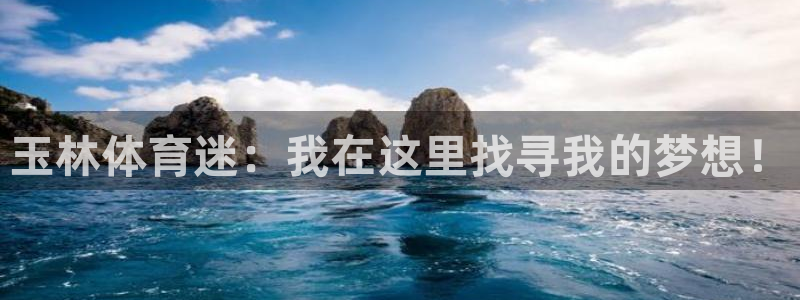 xc体育app官方网站
